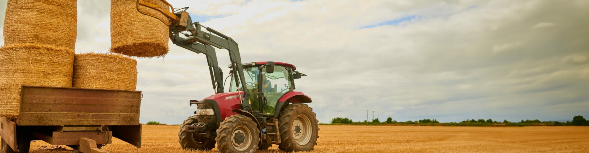 Traktor mit Frontlader hebt Rundballen auf ein Anhängerfahrzeug auf einem abgeernteten Feld.