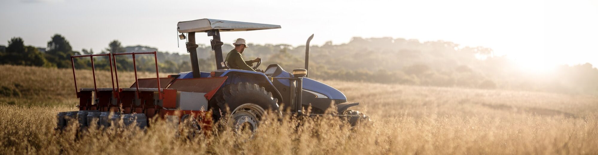 Ein Landwirt fährt mit einem blauen Traktor und Sämaschine durch ein trockenes, goldenes Feld im Abendlicht.